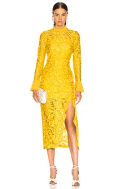 Shop Alexis Fala Dress In Gold Lace