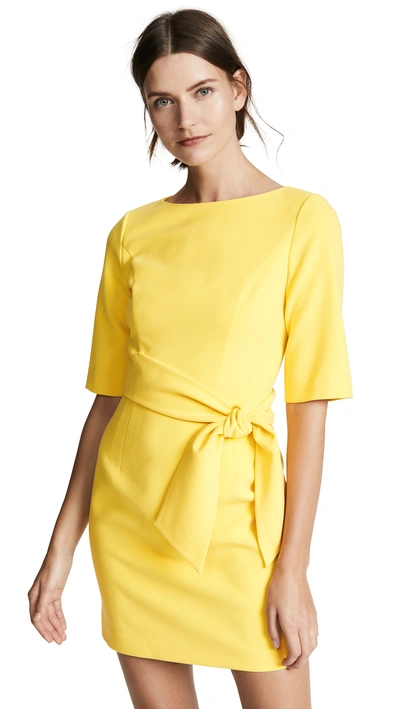 Shop Alice And Olivia Virgil Boat Neck Dress In Canary