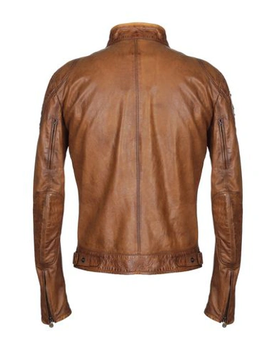 Shop Matchless Leather Jacket In Brown