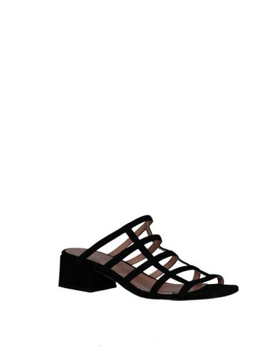 Shop Liviana Conti Sandals In Black