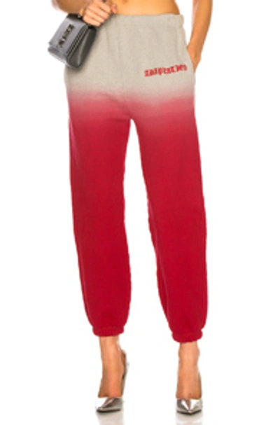 Shop Adaptation Sweatpants In Heather & Red