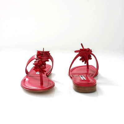 Shop Manolo Blahnik Coralona Thong Sandal In Red