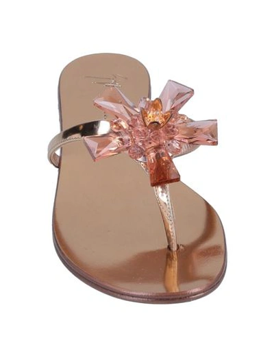 Shop Giuseppe Zanotti Flip Flops In Copper