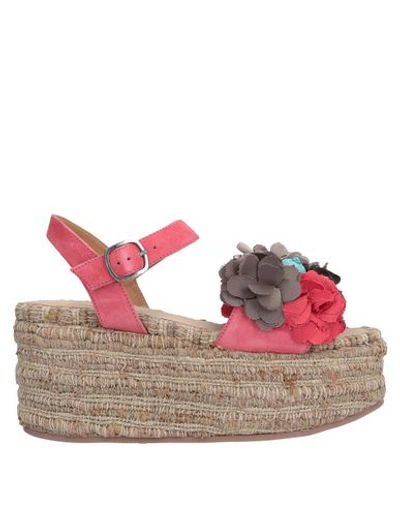 Shop Coral Blue Sandals In Coral