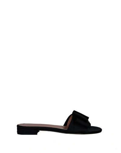Shop Liviana Conti Sandals In Black