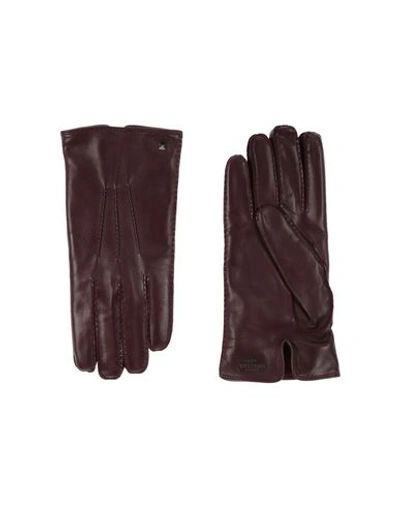 Shop Valentino Gloves In Dark Brown