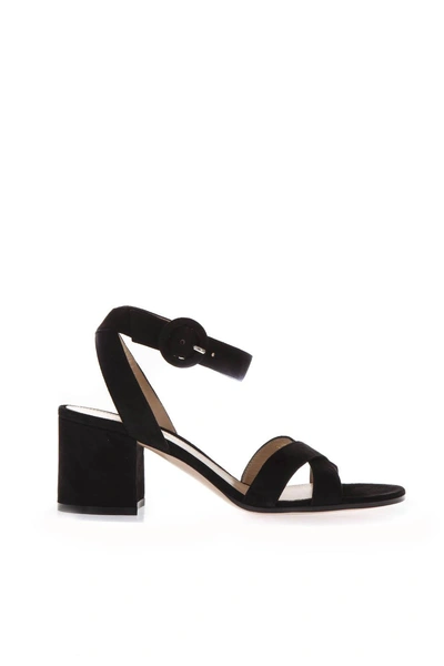 Shop Gianvito Rossi Black Suede Sandals With Chunky Heel