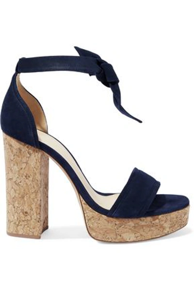 Shop Alexandre Birman Woman Celine Suede And Cork Platform Sandals Navy