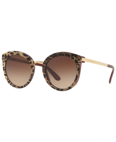Shop Dolce & Gabbana Sunglasses, Dg4268 52 In Leo On Bordeaux / Brown Gradient