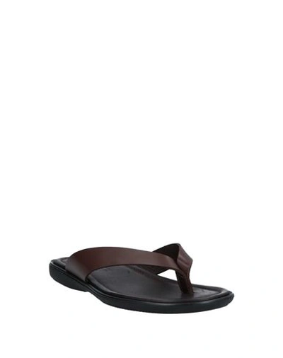 Shop Doucal's Toe Strap Sandals In Dark Brown