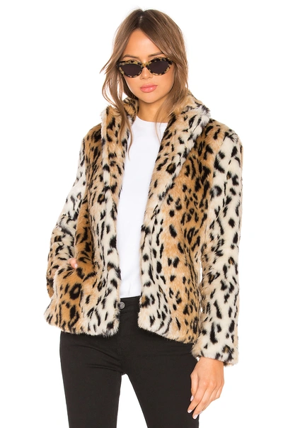 Shop Superdown Roxy Faux Fur Leopard Coat