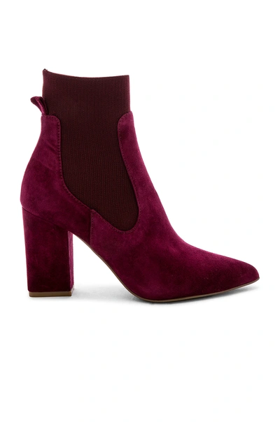 Richter sock sale bootie steve madden