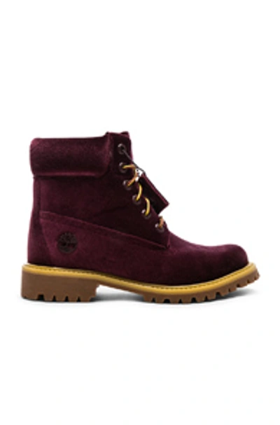 Shop Off-white Timberland Velvet Hiking Boots In Bordeaux