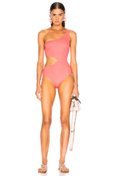 Shop Solid & Striped Claudia Swimsuit In Flamingo