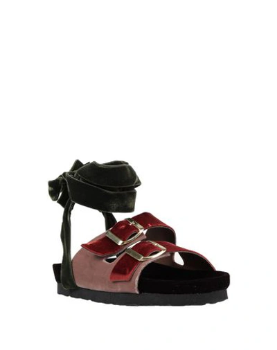 Shop Gia Couture Sandals In Maroon