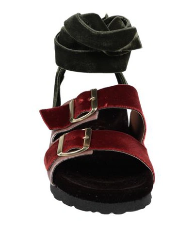 Shop Gia Couture Sandals In Maroon