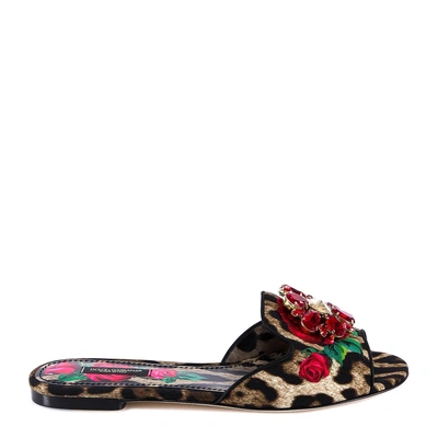 Shop Dolce & Gabbana Animal Print Slides In Brown