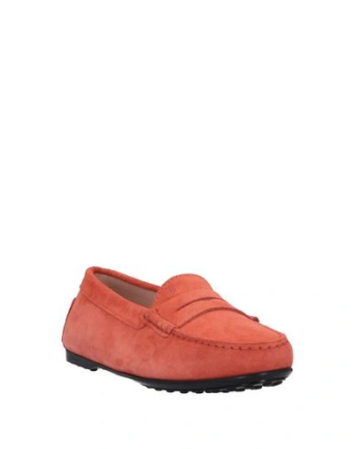 Shop Tod's Loafers In Rust