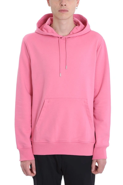 Shop Helmut Lang Pink Cotton Hoodie In Basic