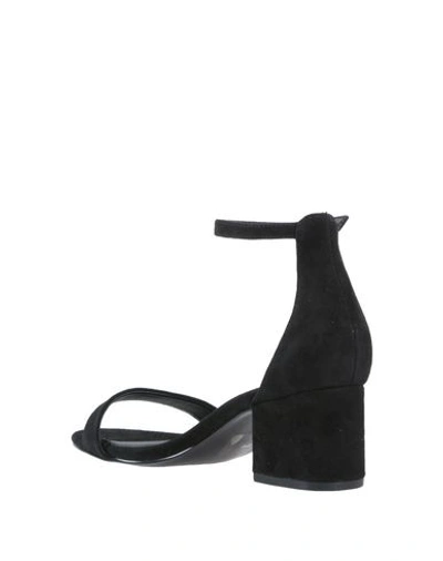 Shop Steve Madden Sandals In Black