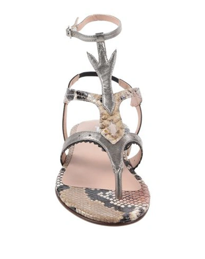 Shop Just Cavalli Flip Flops In Sand