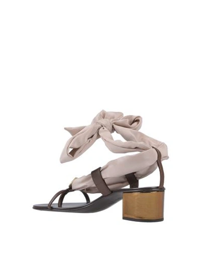 Shop Giuseppe Zanotti Flip Flops In Dove Grey