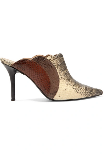 Shop Chloé Lauren Scalloped Snake-effect Leather Mules In Snake Print