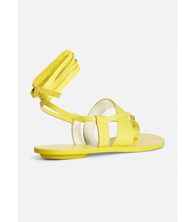 Shop Tibi Yellow Reid Sandals In Lemon