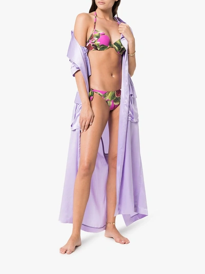 Shop Dolce & Gabbana Fig Print Balconette String Bikini In Pink/purple