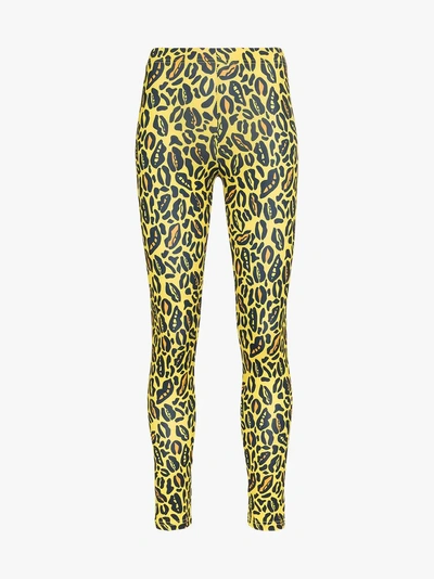 Shop Charm's Leopard Print Skinny Leggings In Yellow/orange