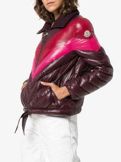 Shop Moncler Albatros Quilted Jacket In Brown