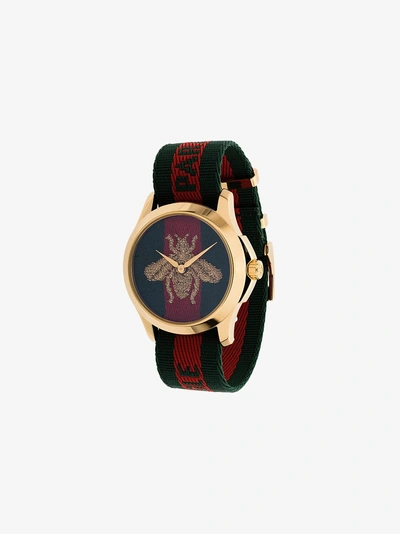 Shop Gucci Armbanduhr Mit Streifen In Green