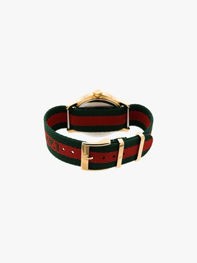 Shop Gucci Armbanduhr Mit Streifen In Green