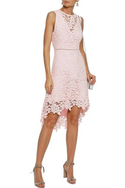 Shop Joie Bridley Cutout Cotton Guipure Lace Mini Dress In Pastel Pink