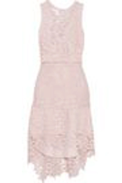 Shop Joie Bridley Cutout Cotton Guipure Lace Mini Dress In Pastel Pink