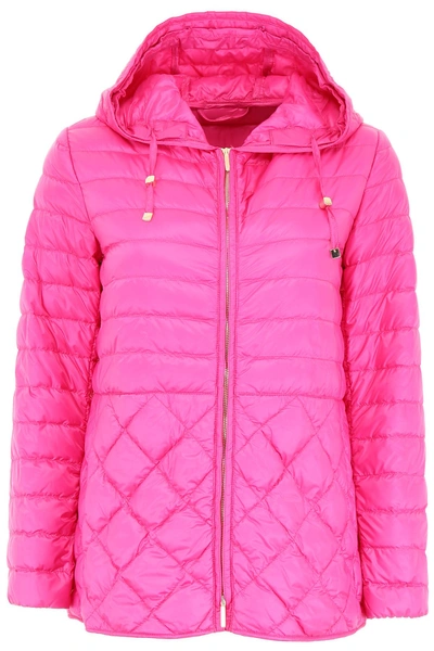 Shop Max Mara Quilted Jacket In Bouganville (fuchsia)