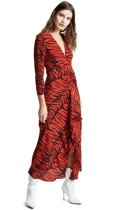 Shop Rixo London Rose Dress In Red Tiger