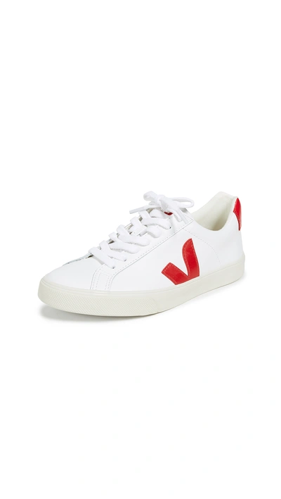 Shop Veja Esplar Logo Sneakers In Extra White/pekin