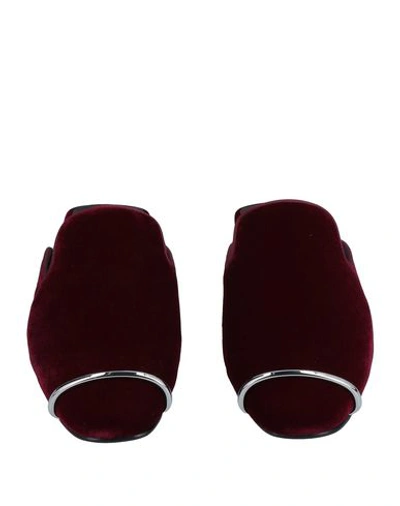 Shop Alexander Wang Mules In Maroon