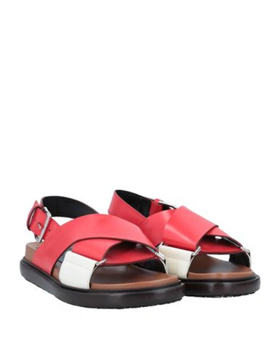 Shop Marni Sandals In Red