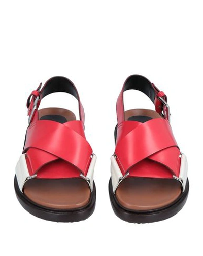 Shop Marni Sandals In Red