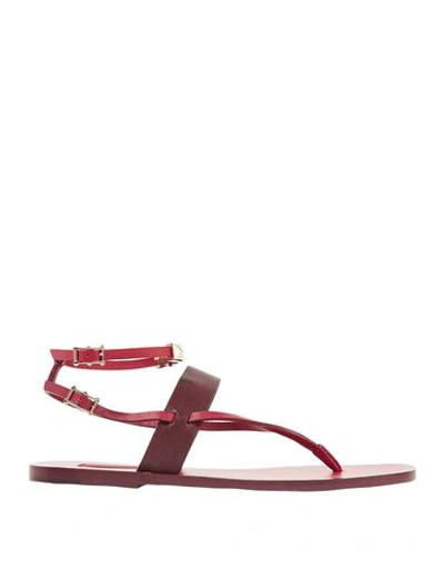 Shop Valentino Flip Flops In Maroon