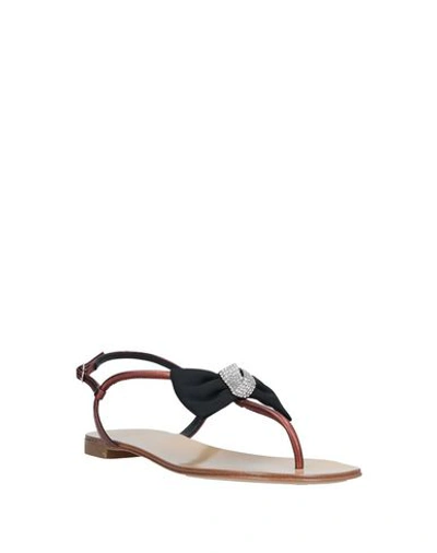 Shop Giuseppe Zanotti Flip Flops In Bronze