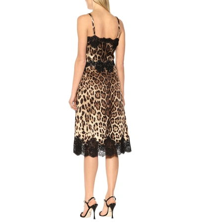 Shop Dolce & Gabbana Lace-trimmed Silk-blend Dress In Brown