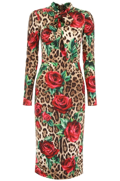 Shop Dolce & Gabbana Leopard And Roses Print Dress In Rose Rosse Fdo Leo