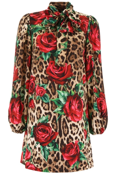 Shop Dolce & Gabbana Printed Dress In Rose Rosse Fdo Leo (brown)