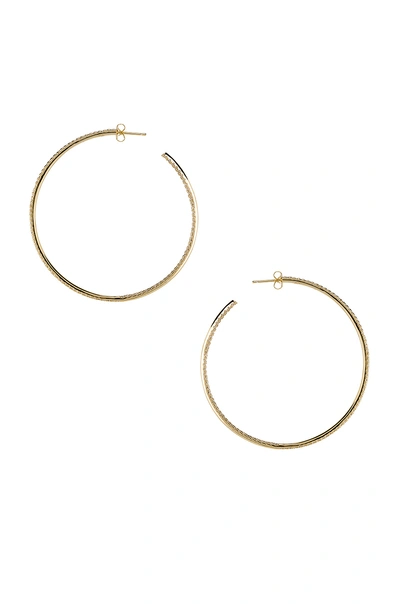 Shop Joolz By Martha Calvo Thin Pave Hoop Earrings In Metallic Gold.