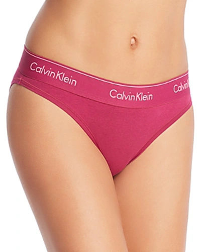 Shop Calvin Klein Modern Cotton Bikini In Maggie