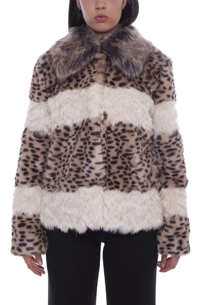 Shop Pinko Leopard Detail Faux Jacket In Multi