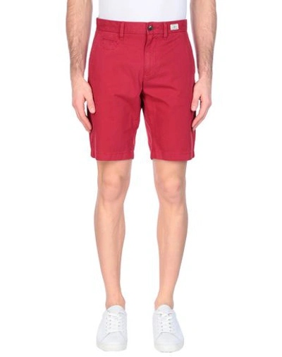 Shop Tommy Hilfiger Shorts & Bermuda Shorts In Red